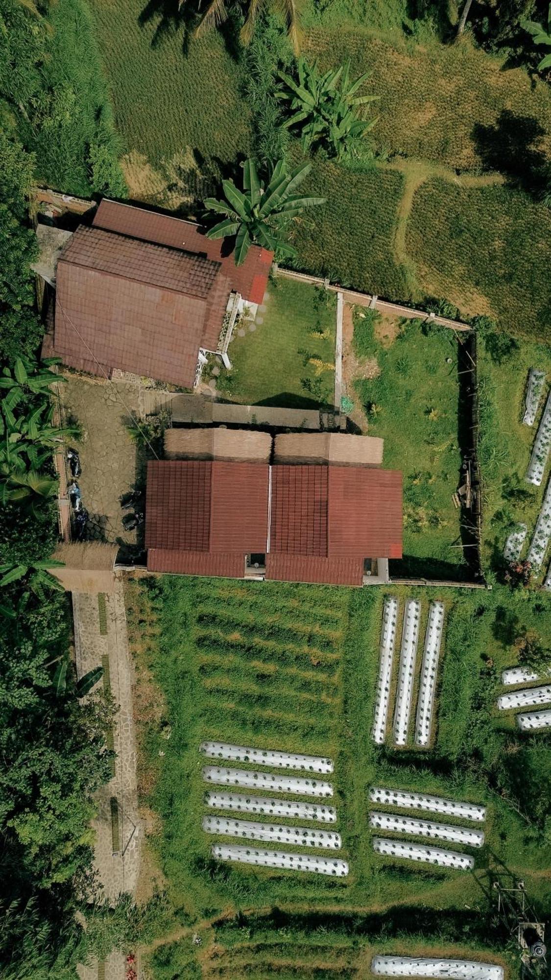 Hotel Alora House Lombok Tete Batu Tetebatu Zewnętrze zdjęcie