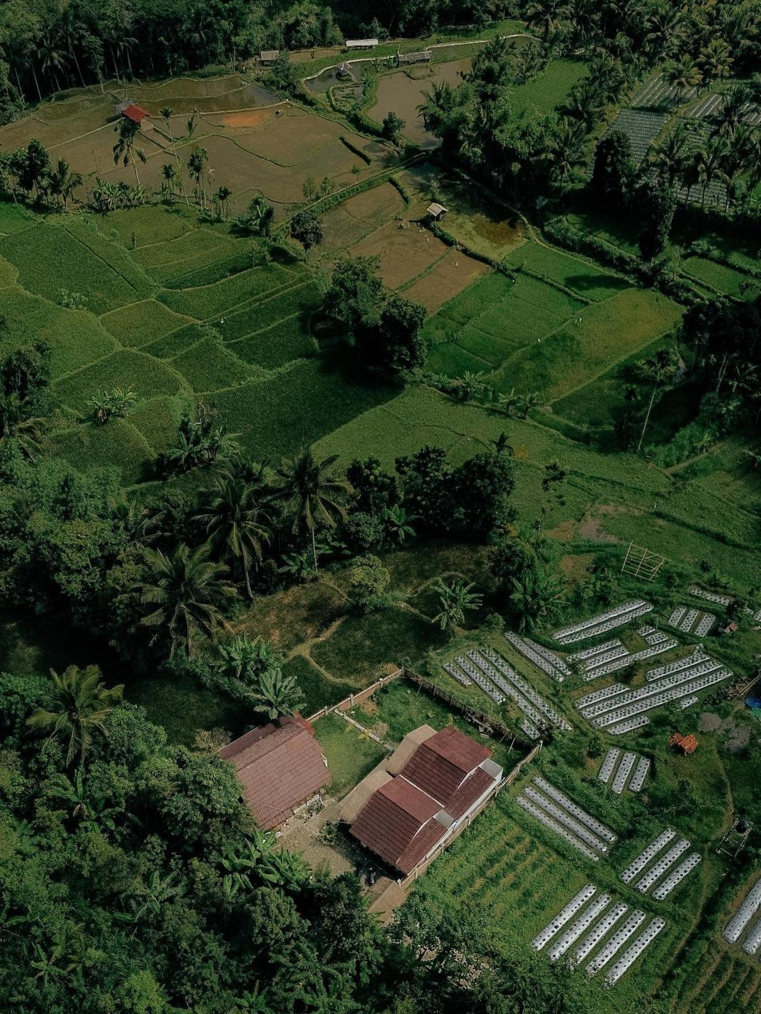 Hotel Alora House Lombok Tete Batu Tetebatu Zewnętrze zdjęcie
