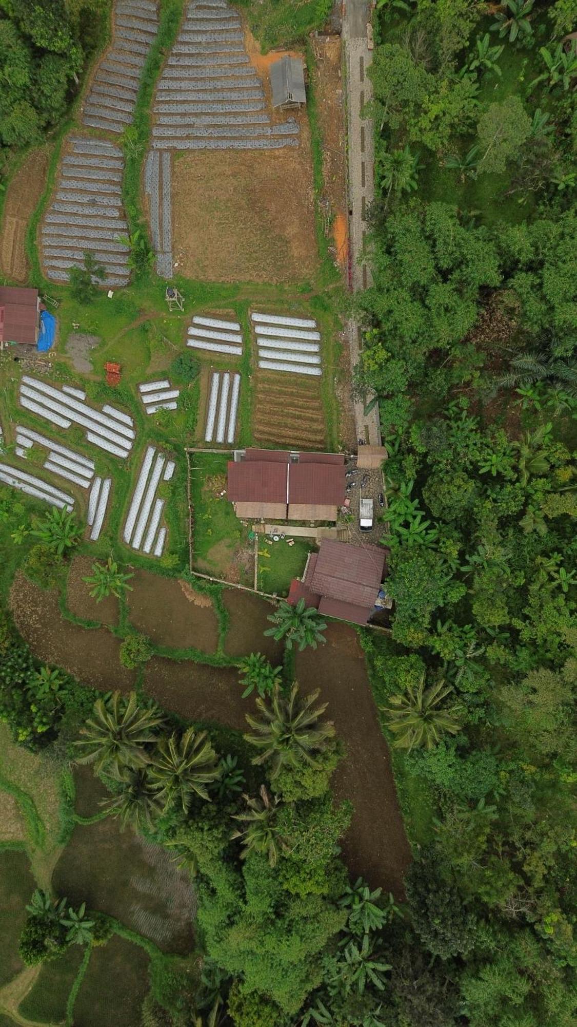 Hotel Alora House Lombok Tete Batu Tetebatu Zewnętrze zdjęcie